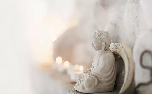 The Application of Compassion