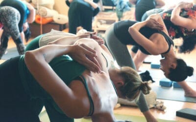 Yoga Therapy: A Holistic Approach to Preventative Care
