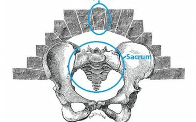 Unlocking The Power Of Yoga For Low Back Pain