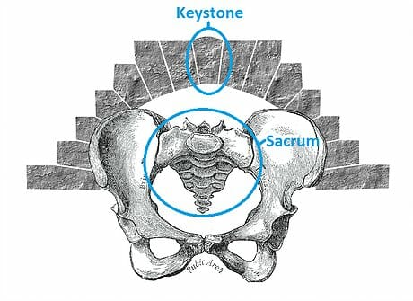Unlocking The Power Of Yoga For Low Back Pain