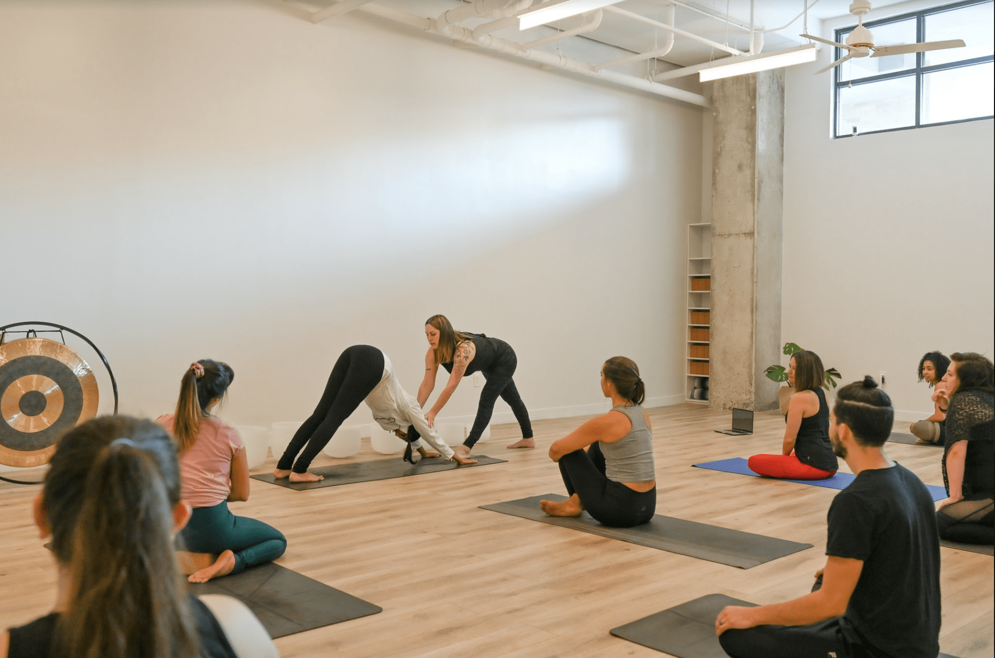 Yoga Teacher Training Online