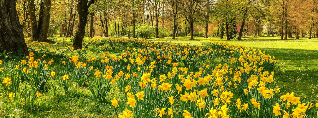 The Vernal Equinox