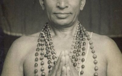 Lineage In Yoga