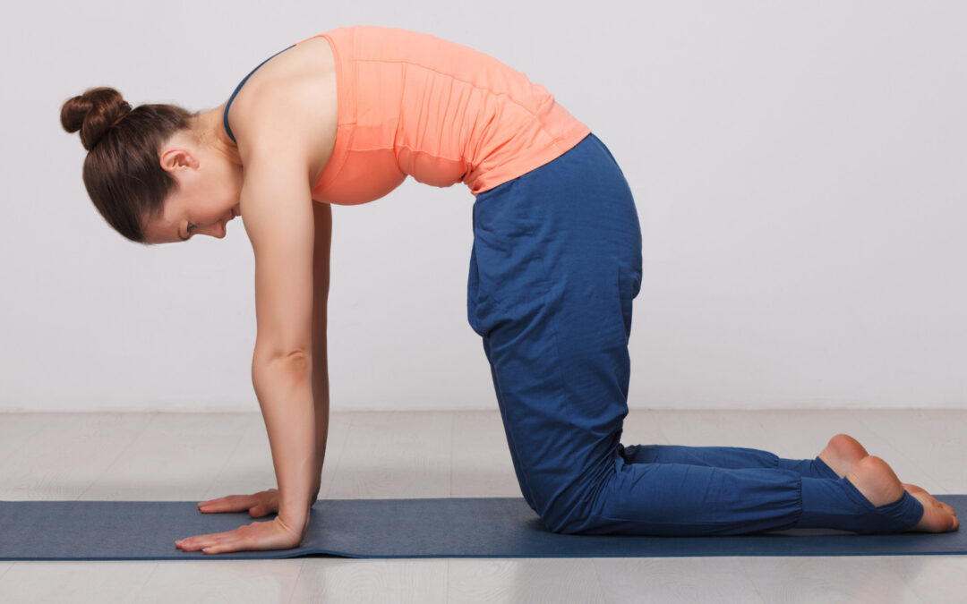 Gentle Yoga Practice