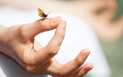 Cleansing Your Energy Field