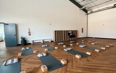 Donation Based Yoga In Austin, TX