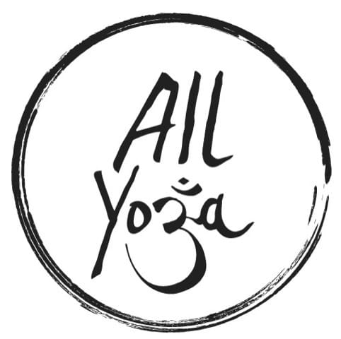 the YMCA logo