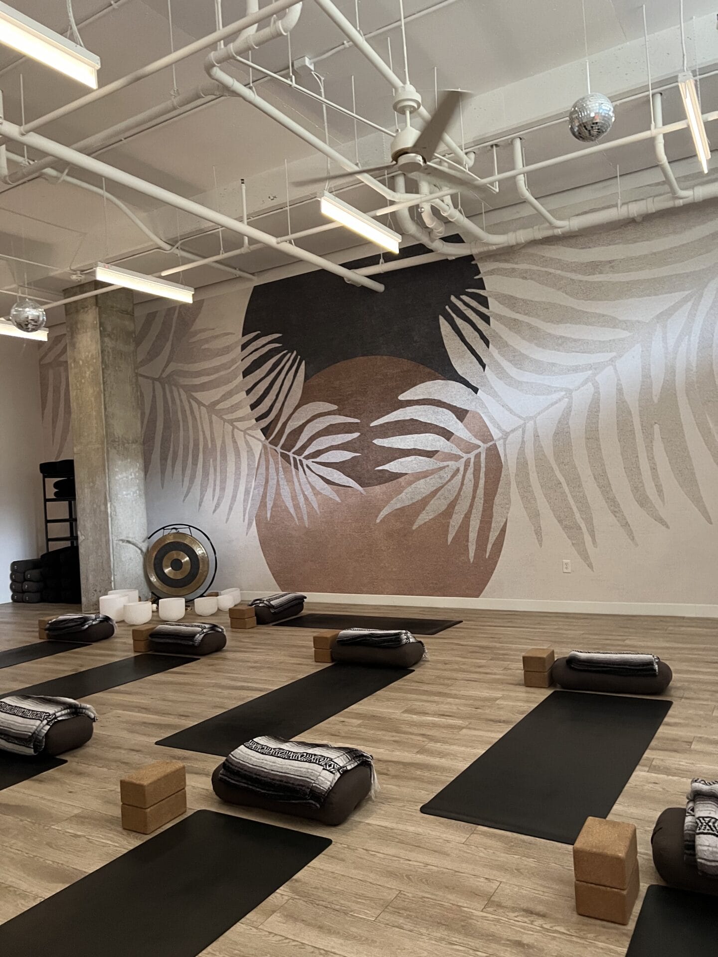 My Vinyasa Practice South Congress